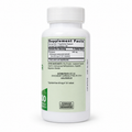 Holistic Health Products Echinacea 650 mg — 100 Vegetarian Capsules